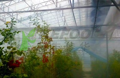 農科院大棚噴霧加濕系統案例